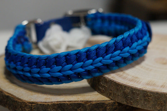 Hundehalsband Ozean GR. 39 - 43 cm