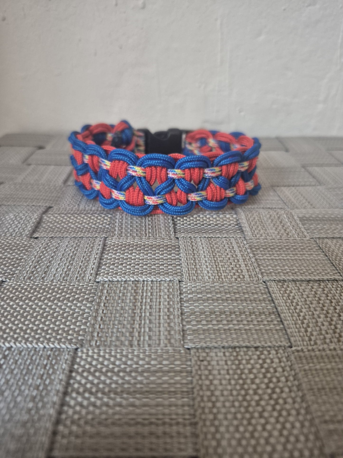 Halsband "Buddy" Gr. XS 24cm